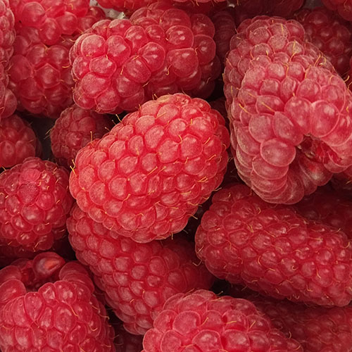 Малина