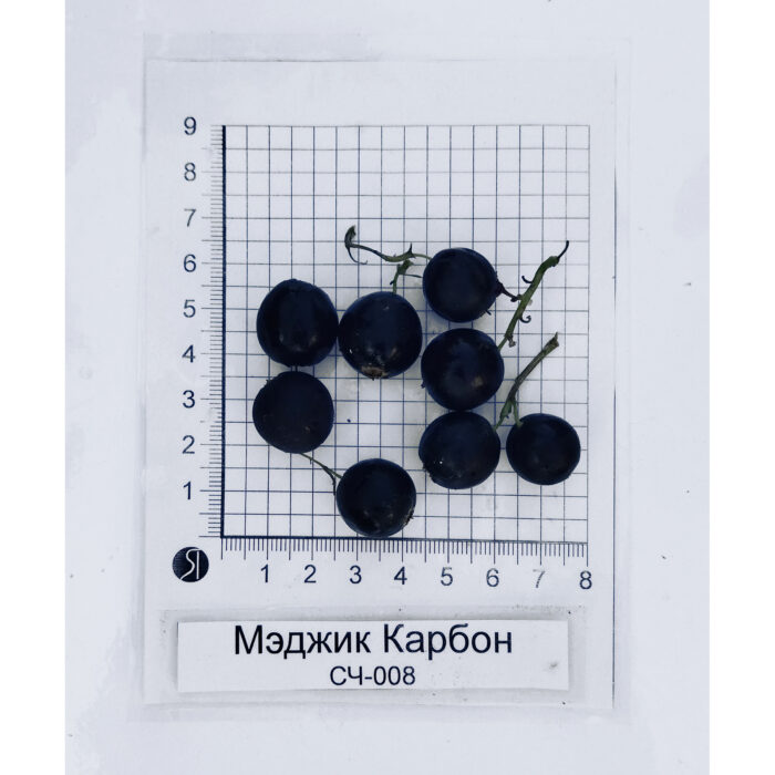 Мэджик Карбон