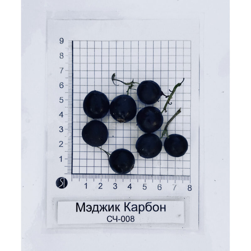 Мэджик Карбон