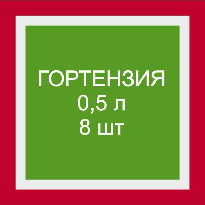 Набор Метельчатая гортензия 8 шт