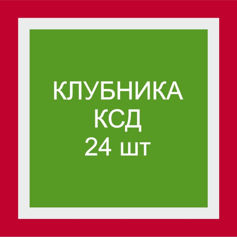 Саженцы клубники КСД сортов (набор из 24 шт.)