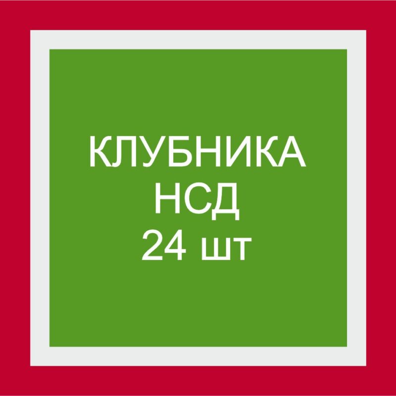 Саженцы клубники НСД сортов ремы (набор из 24 шт.)